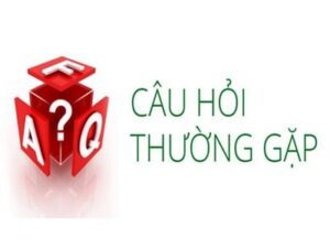 Các câu hỏi thường gặp